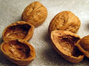 Walnut Shells