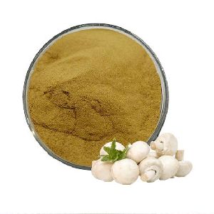 Dehydrated Button mushroom powder