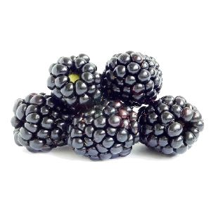 Frozen Imported Blackberries