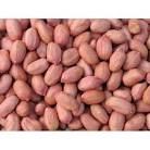 Groundnut