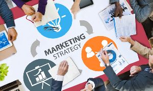Marketing Strategy Consultant
