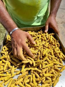 Turmeric Finger