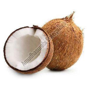 Medium Raw Coconut