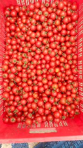 Red cherry Tomatoes