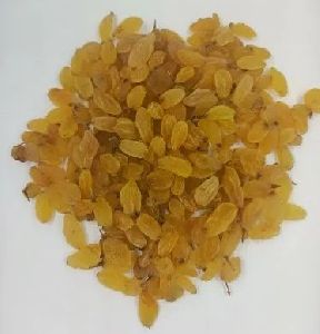 dried golden raisins