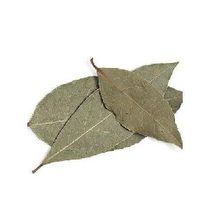 Dried Bay Leaves