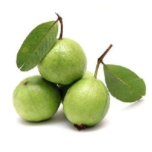 Fresh Guava