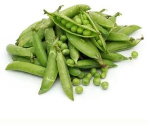 Fresh Peas