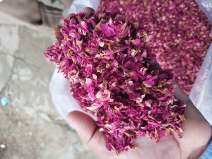 Dry Rose Petals