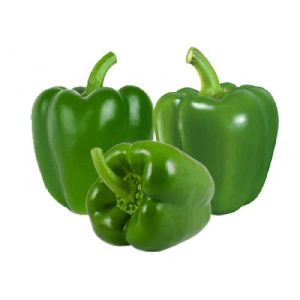 Fresh Capsicum