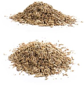 Premium Indian Cumin Seeds