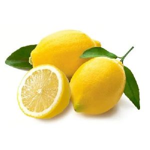 Fresh Lemon