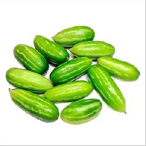 Fresh Tendli