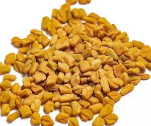 Fenugreek Seeds