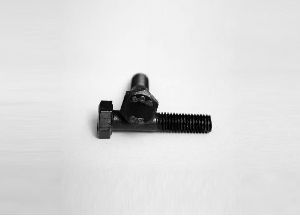 Nut Bolts
