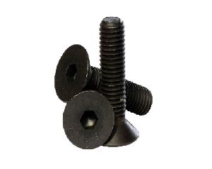 Nut Bolts