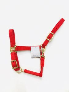 Bright Red Web Nylon Halter