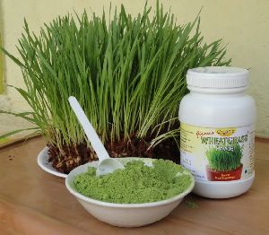 Organic Green Leaf Powder