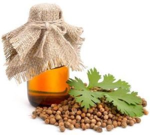 Coriander oleoresin