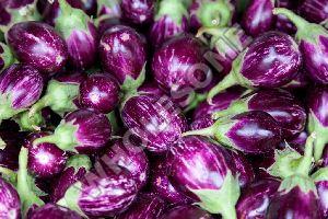 Fresh Purple Brinjal