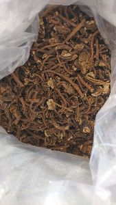 dandelion root