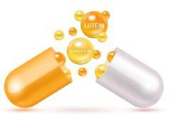 Lutein & Zeaxanthin Capsule