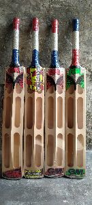 Kashmir Willow double blade cricket bat