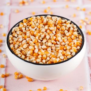Indian Popcorn Seeds