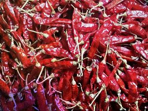 Teja Deluxe Red chillies