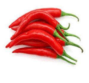 Fresh Red Chilli