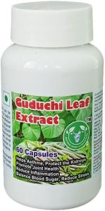 Guduchi Leaf Extract Capsule - 60 Capsules