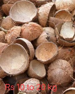 Coconut Shell