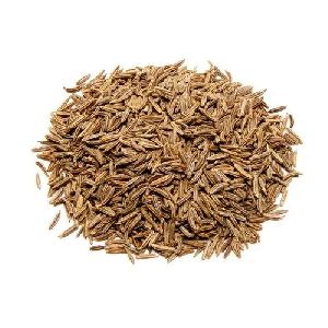 Caraway Seeds