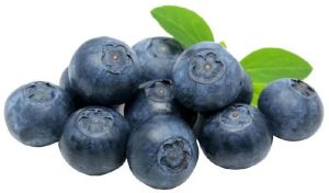 Fresh Blueberry