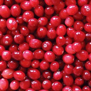 fresh cranberry