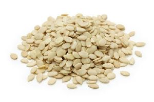 Muskmelon Seeds