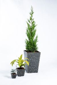recycled plastic plant pots