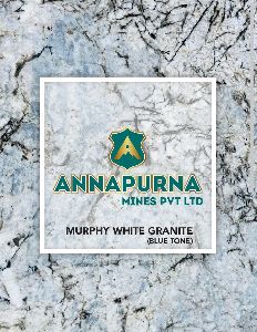 Murphy White Granite with Blue Tone Slabs