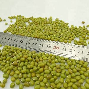 Mung Beans