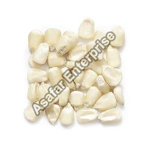 White Maize Seeds