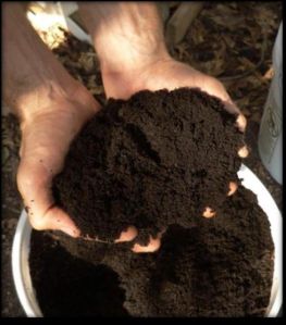 Organic Fertilizer