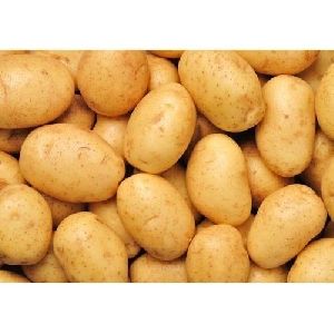 Lokar Potato