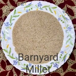 Barnyard Millets