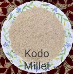 KODO MILLETS