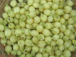 Mahua Flower