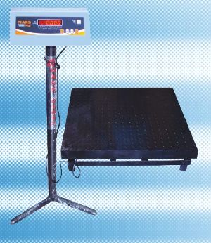 Heavy Duty Platform Scale