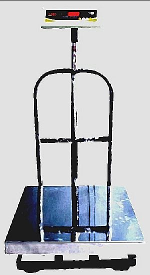 SS Platform Weighing Scale