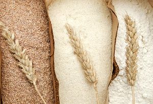 durum wheat flour