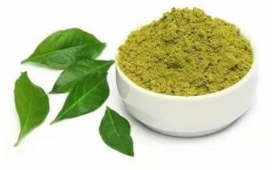 Curry Leaves Powder