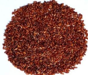 Red Rice